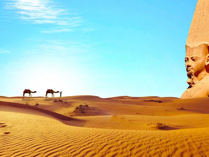 Deserto e camelos